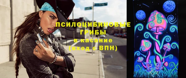 шишки Балахна