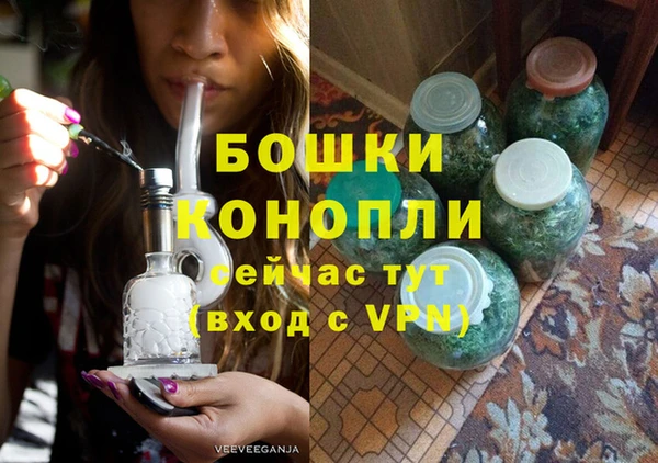 шишки Балахна