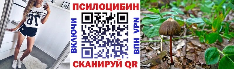 Псилоцибиновые грибы MAGIC MUSHROOMS  что такое   Североморск 